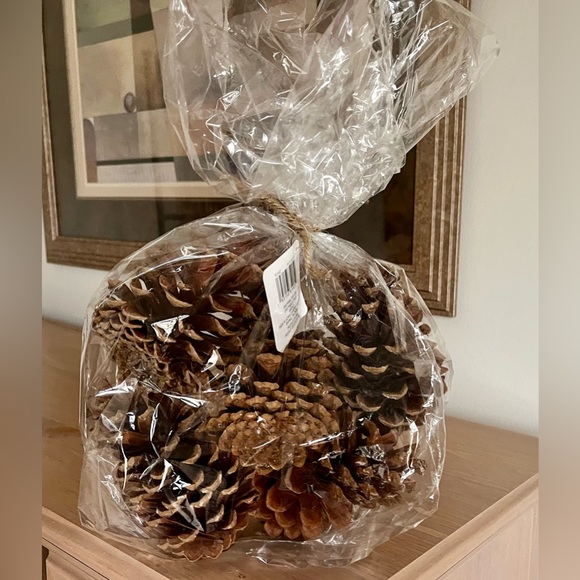 Pinecones (NWT) 5 pc $24.99 home decor - Picture 4 of 7